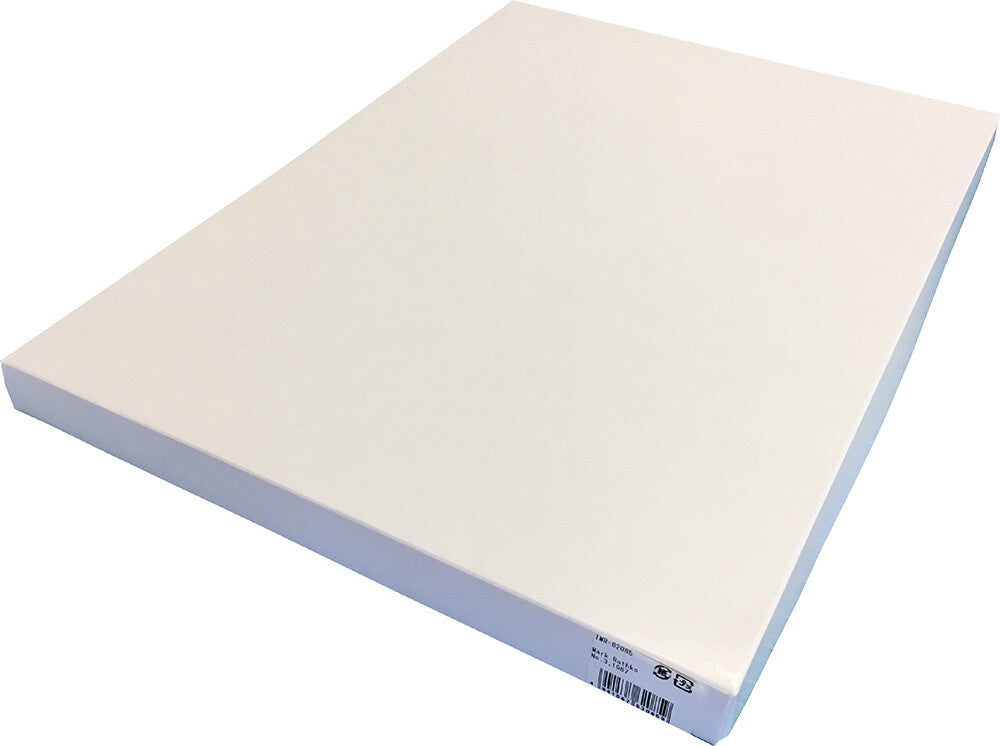 アートフレーム レオ・リオーニ Leo Lionni A Color of His Own