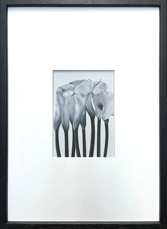 アートパネル Photography art Calla(カラー)